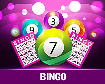 ssbet77 bingo
